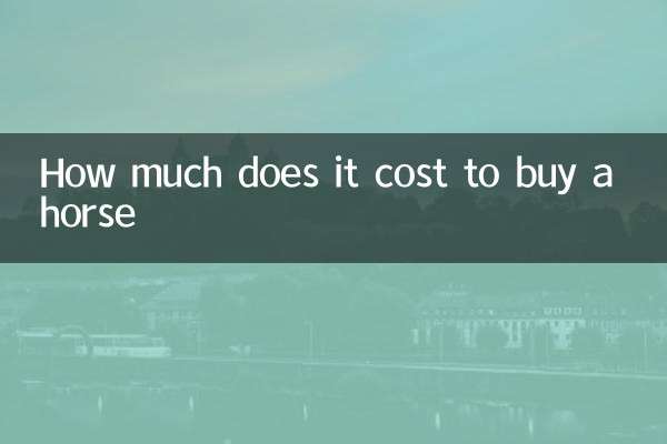 ¿Cuánto cuesta comprar un caballo?