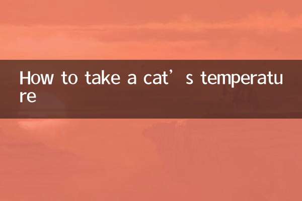 고양이의 체온을 측정하는 방법