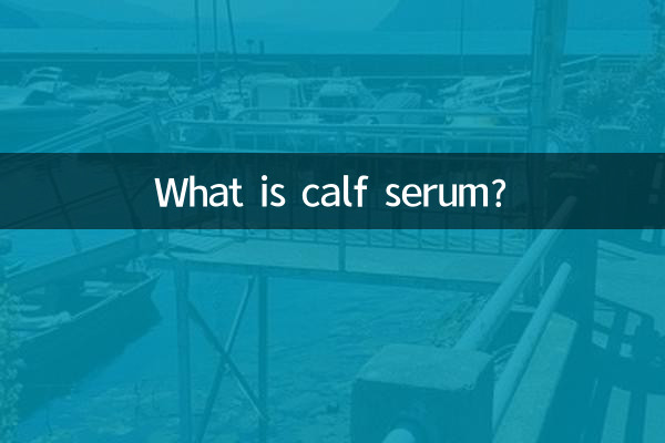 송아지 혈청이란 무엇입니까?