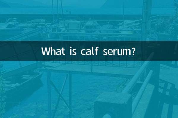 송아지 혈청이란 무엇입니까?
