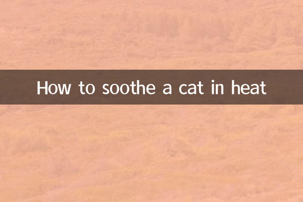 Come calmare un gatto in calore