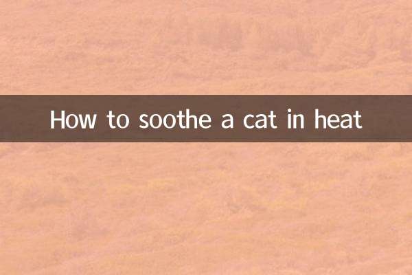 गर्मी में बिल्ली को कैसे शांत करें