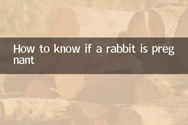 토끼가 임신했는지 확인하는 방법