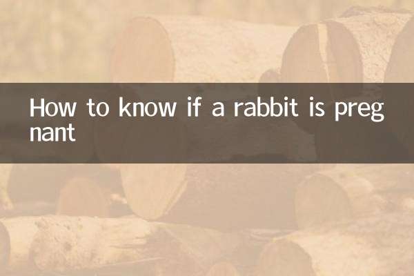 토끼가 임신했는지 확인하는 방법