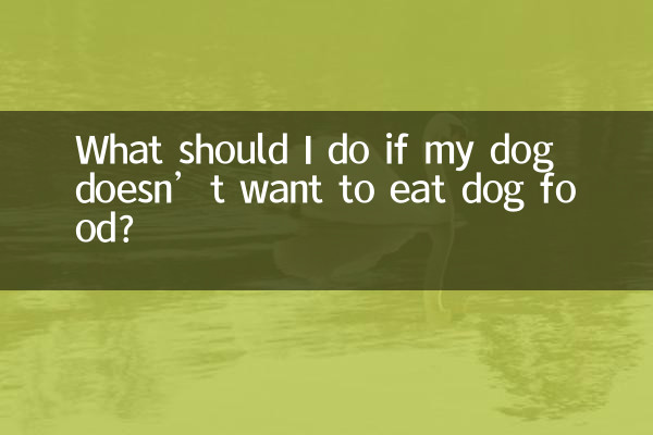 ¿Qué debo hacer si mi perro no quiere comer comida para perros?