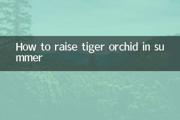 虎皮蘭夏天怎麼養