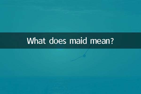 ما هو معنى خادمة ؟