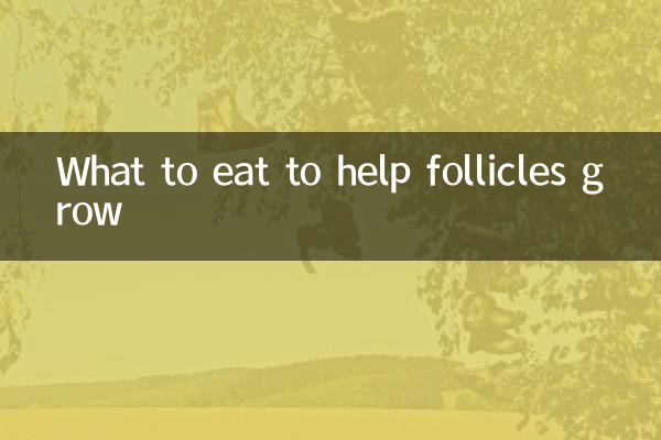 What to eat to help follicles grow