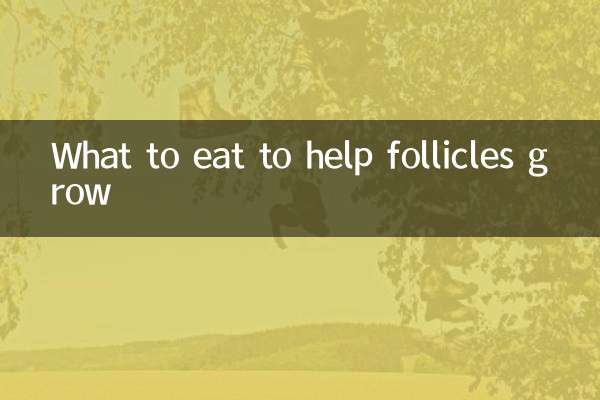 Was man essen sollte, um das Follikelwachstum zu unterstützen