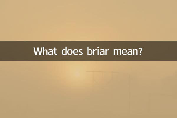 Que signifie bruyère ?