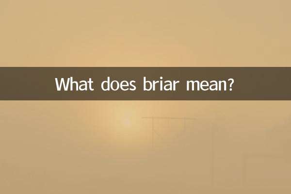 What does briar mean?