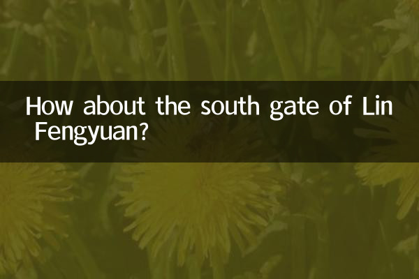 دروازه جنوبی Lin Fengyuan چطور؟