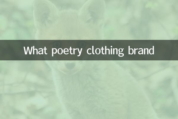 詩の服のブランドは何ですか