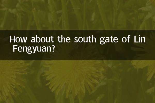 دروازه جنوبی Lin Fengyuan چطور؟