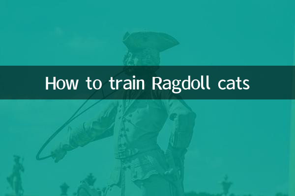 Como treinar gatos Ragdoll