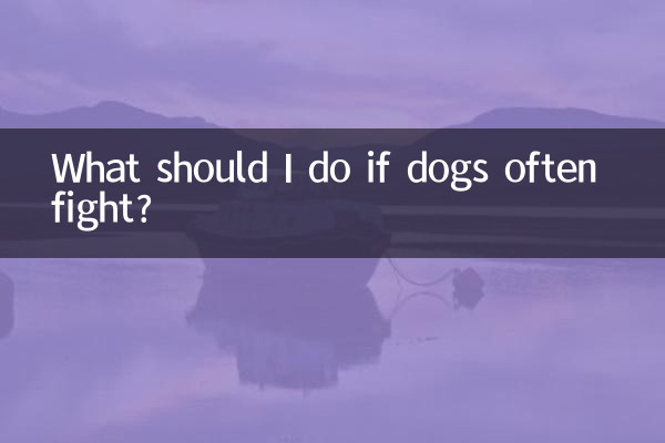 What should I do if dogs often fight?