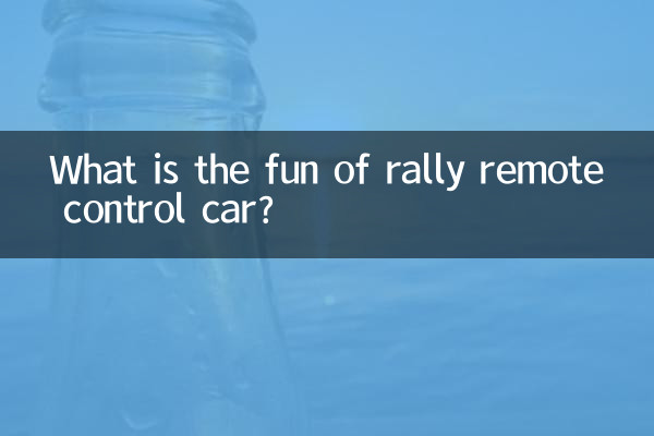 ¿Cuál es la diversión del coche de control remoto de rally?