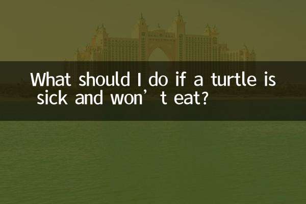 اگر لاک پشت مریض است و غذا نمی خورد چه باید بکنم؟