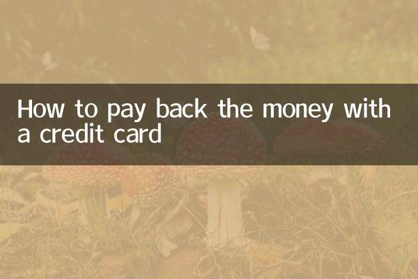 كيفية إرجاع الأموال ببطاقة الائتمان