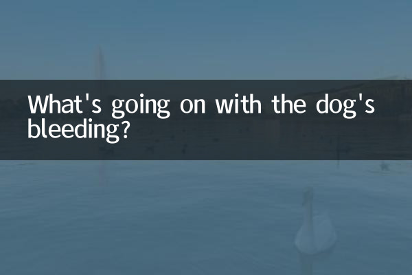¿Qué pasa con el sangrado del perro?