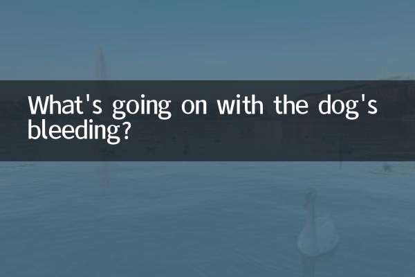 ¿Qué pasa con el sangrado del perro?