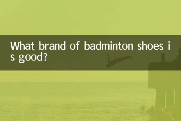 কোন ব্র্যান্ডের ব্যাডমিন্টন জুতা ভালো?