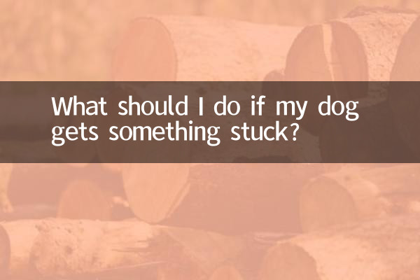 আমার কুকুর কিছু আটকে গেলে আমার কি করা উচিত?