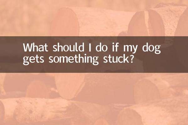 আমার কুকুর কিছু আটকে গেলে আমার কি করা উচিত?