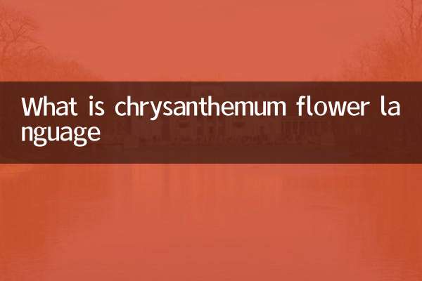 Che cos'è il linguaggio di fiori di Chrysantemum