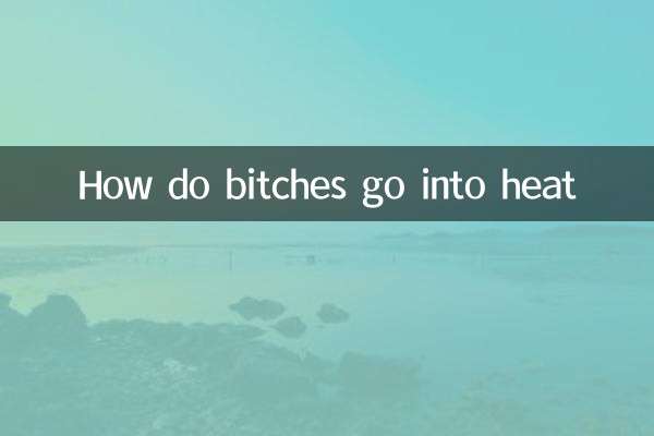 How do bitches go into heat