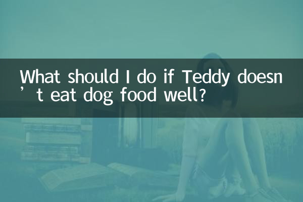 Que dois-je faire si Teddy ne mange pas bien la nourriture pour chien ?
