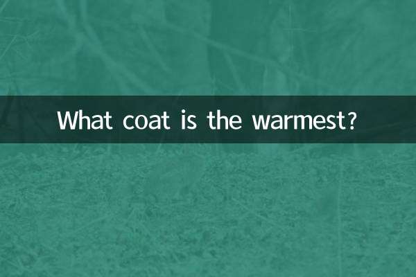 Quel manteau est le plus chaud ?