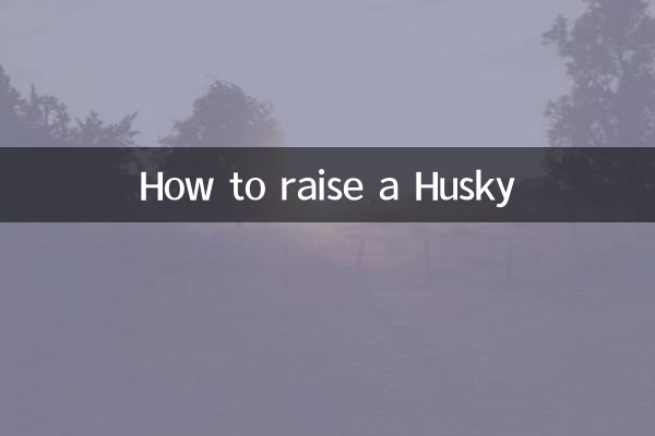 How to raise a Husky