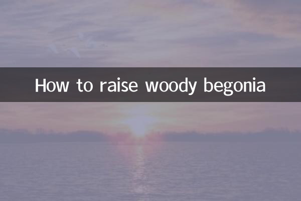 How to raise woody begonia
