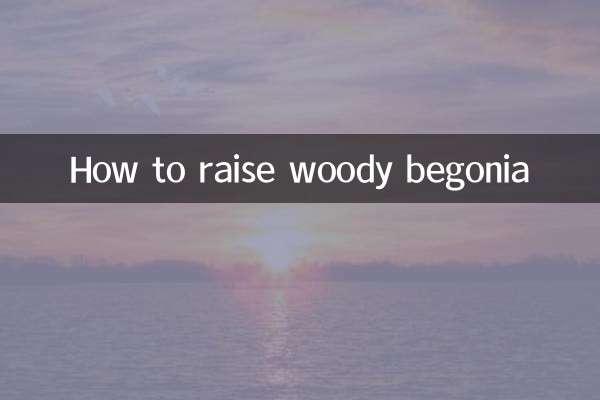How to raise woody begonia