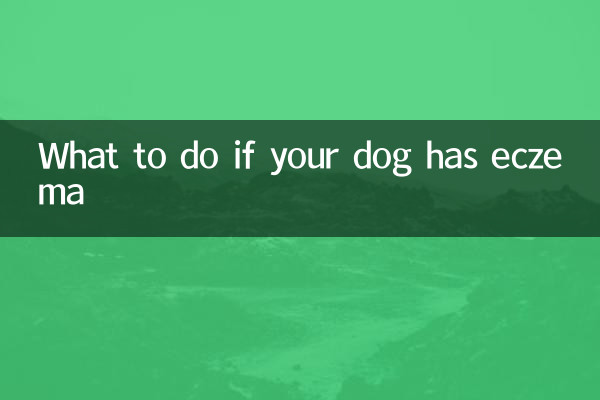 小狗濕疹怎麼辦呀