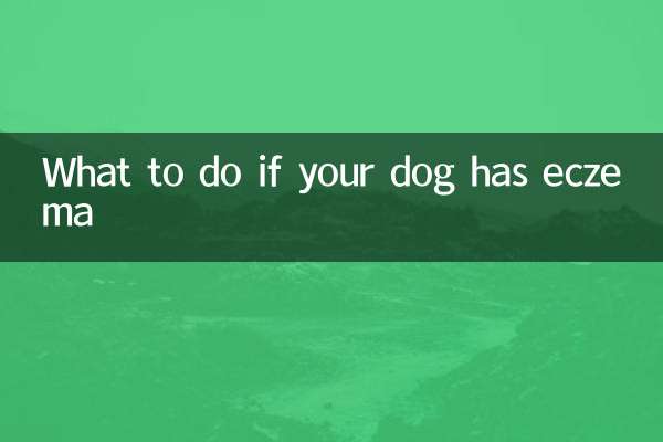 What to do if your dog has eczema