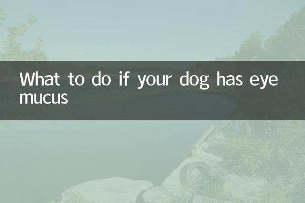 Que faire si votre chien a du mucus oculaire