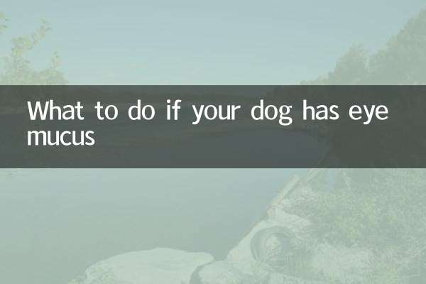 Что делать, если у вашей собаки появилась слизь из глаз