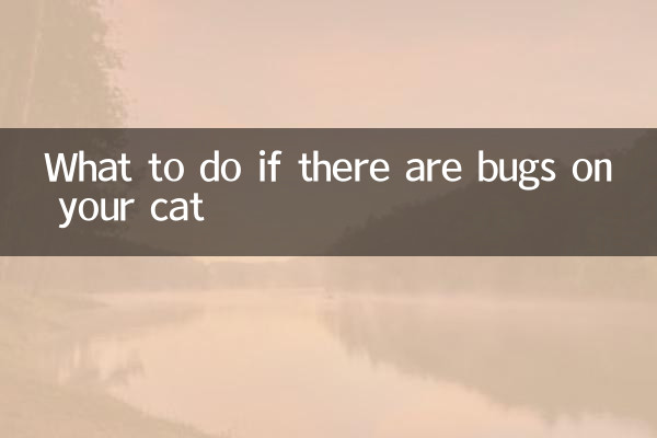 貓咪身上有蟲子怎麼辦