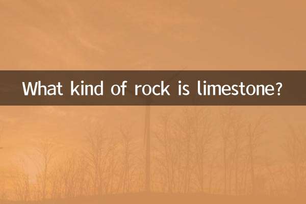 ¿Qué tipo de roca es la piedra caliza?