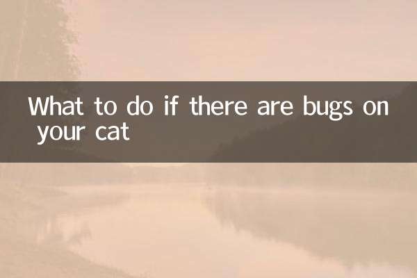 Что делать, если у вашей кошки появились клопы