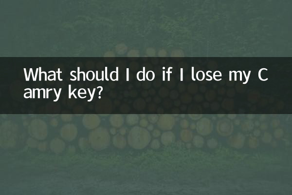 यदि मेरी कैमरी कुंजी खो जाए तो मुझे क्या करना चाहिए?