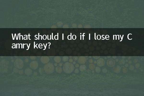 यदि मेरी कैमरी कुंजी खो जाए तो मुझे क्या करना चाहिए?