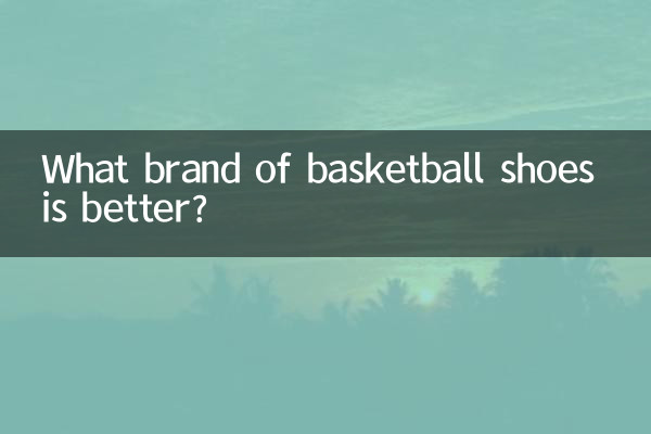 농구화 어떤 브랜드가 좋을까요?