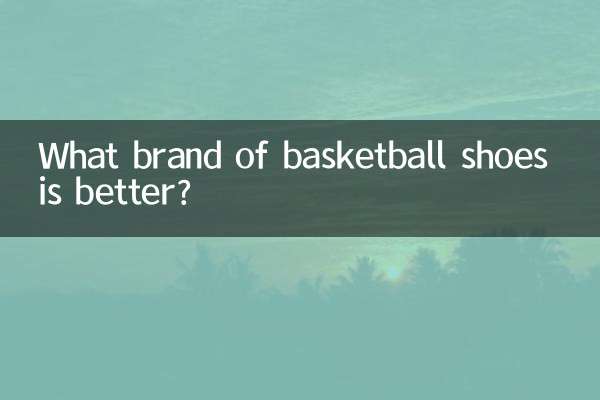 どのブランドのバスケットボールシューズが良いですか？