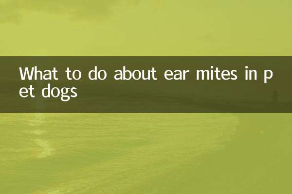 ما يجب القيام به بشأن عث الأذن في الكلاب الأليفة