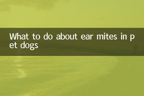 O que fazer com ácaros da orelha em cães de estimação