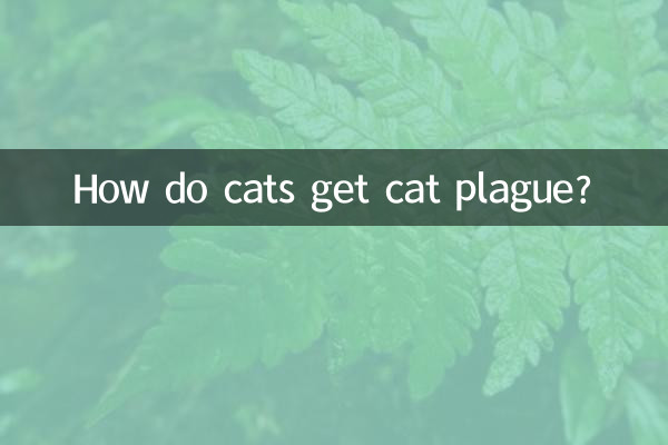 چگونه گربه ها به طاعون گربه مبتلا می شوند؟