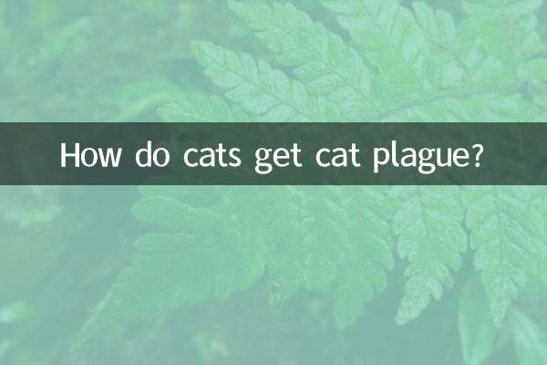 ¿Cómo contraen los gatos la peste felina?